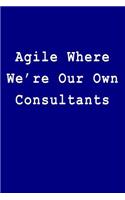 Agile Where We're Our Own Consultants
