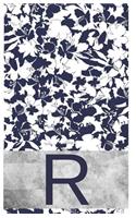 R Initial Notebook
