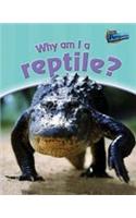 Why am I a Reptile?