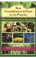 Best Groundcovers and Vines for the Prairies