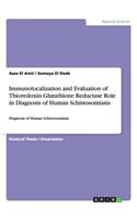 Immunolocalization and Evaluation of Thioredoxin Glutathione Reductase Role in Diagnosis of Human Schistosomiasis