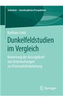 Dunkelfeldstudien Im Vergleich