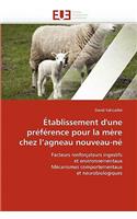 Établissement d''une Préférence Pour La Mère Chez l''agneau Nouveau-Né