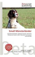 Small Munsterlander