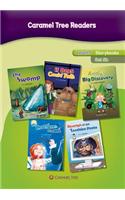 Level 5 Storybooks Set 5b