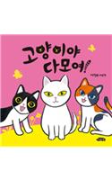 Cats All Come!