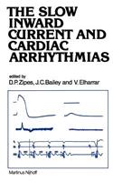 Slow Inward Current and Cardiac Arrhythmias