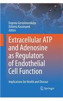 Extracellular ATP and adenosine as regulators of endothelial cell function: Implications for health and disease(English)
