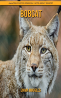 Bobcat: Amazing Photos and Fun Facts about Bobcat