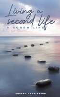 Living A Second Life