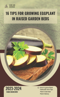 16 Tips For Growing Eggplant in Raised Garden Beds: Guide and overview