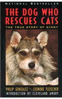 Dog Who Rescues Cats