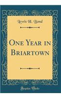 One Year in Briartown (Classic Reprint)