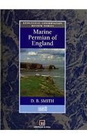 Marine Permian of England