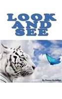 Look and See
