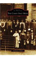 The Carey Salt Mine