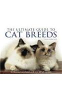 The Ultimate Guide to Cat Breeds
