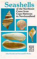 Seashells of the Northeast Coast from Cape Hatters to Newfoundland