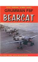 Grumman F8F Bearcat: (80 Naval Fighters)