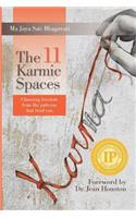 11 Karmic Spaces