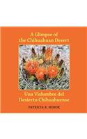 Glimpse of the Chihuahuan Desert