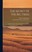 Secret Of The Big Trees