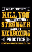 What doesn't kill you makes you stronger except Kickboxing practice Kickboxing practice will kill you