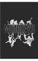 Monkey Hanging