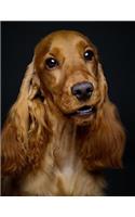 Cocker Spaniel Notebook