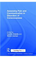 Assessing Pain and Communication in Disorders of Consciousness