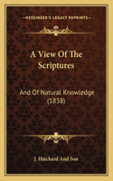 View Of The Scriptures