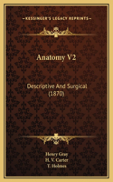 Anatomy V2