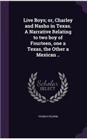 Live Boys; or, Charley and Nasho in Texas. A Narrative Relating to two boy of Fourteen, one a Texas, the Other a Mexican ..