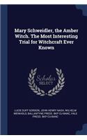 Mary Schweidler, the Amber Witch. the Most Interesting Trial for Witchcraft Ever Known