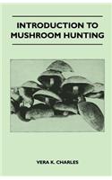 Introduction to Mushroom Hunting