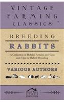 Breeding Rabbits - A Collection of Helpful Articles on Hints and Tips for Rabbit Breeding