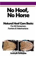 No Hoof, No Horse
