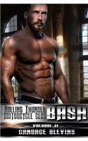 Bash, Volume II
