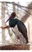 Black Stork in a Nest Bird Journal: 150 Page Lined Notebook/Diary