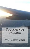 You are not falling