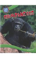 Chimpanzees: (World's Smartest Animals)