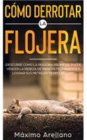 Cómo derrotar la flojera