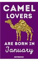 Camel Lovers Are Born In January