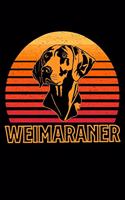 Weimaraner