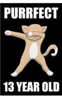 Purrfect 13 Year Old Dabbing Cat