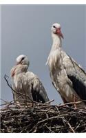 A Couple of Storks Checking You Out Journal: 150 page lined notebook/diary