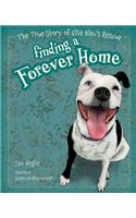 Finding a Forever Home