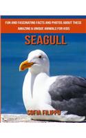 Seagull