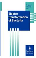 Electrotransformation of Bacteria