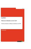 Warum ist Brasilien in der G20?